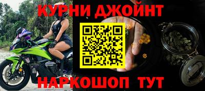 индика Гусев