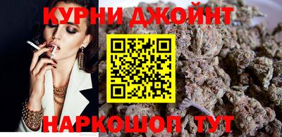 индика Гусев
