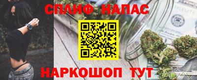 индика Гусев
