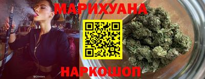 индика Гусев