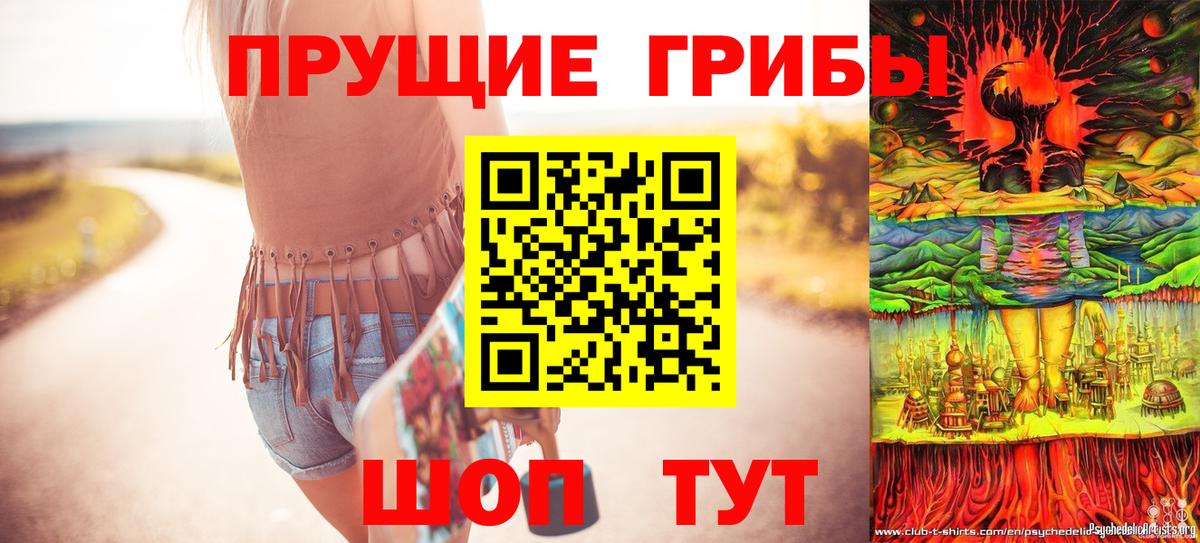 Галлюциногенные грибы прущие грибы  Вход с VPN  Нижнекамск 